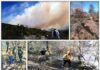 EXTINGUIDOS DOS INCENDIOS FORESTALES EN TAMAULIPAS, TRAS ESFUERZOS COORDINADOS