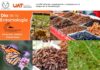 LA UAT DIFUNDE SU INVESTIGACIÓN Y ESTUDIOS EN EL CAMPO DE LA ENTOMOLOGÍA
