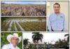 PRIMERO SEQUÍA Y AHORA LLUVIAS AFECTAN A CULTIVOS CAÑEROS EN RIESGO ARRANQUE DE ZAFRA DEL INGENIO BETA SAN MIGUEL