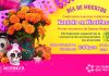 CELEBRACIÓN DEL “DÍA DE MUERTOS” EN XICOTÉNCATL: XANTOLO EN LA PLAZA PRINCIPAL