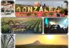 INVITA TURISMO A DISFRUTAR EL “FESTIVAL DEL TEQZCAL” EN GONZÁLEZ