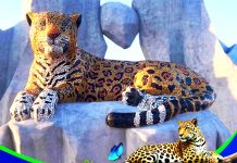 GÓMEZ FARÍAS CELEBRA ANIVERSARIO DEL PARADOR TURÍSTICO EL JAGUAR, SÍMBOLO DE SU BELLEZA NATURAL