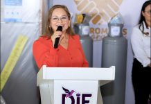 REPROGRAMA DIF ALTAMIRA PRIMER INFORME DE ACTIVIDADES