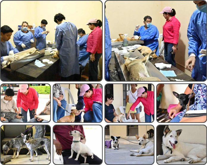 f30be4e1-dfeb-4e4b-9ce5-78e327d6afd7