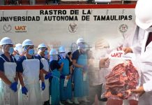 RASTRO TIF DE LA UAT PRODUCIRÁ CARNE PARA EL MERCADO INTERNACIONAL