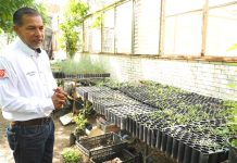 IMPLEMENTA LA UAT MANEJO SUSTENTABLE DEL MAGUEY MEZCALERO EN MIQUIHUANA