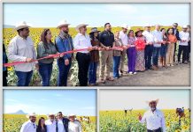 DIPUTADO MARCELO ABUNDIS RAMÍREZ ELOGIA GESTIÓN MUNICIPAL DEL ALCALDE MIGUEL ALEJANDRO ZÚÑIGA EN INAUGURACIÓN DE TEMPORADA DE GIRASOLES EN GONZÁLEZ