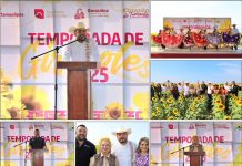 MIGUEL ZÚÑIGA: EL ALCALDE QUE REVOLUCIONÓ LOS CAMPOS DE GIRASOLES EN TAMAULIPAS.