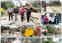 COORDINA PATTY CHÍO ATENCIÓN INMEDIATA ANTE CONTINGENCIA POR FUERTES VIENTOS