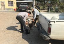 PROMUEVE SST CULTURA DEL DUEÑO RESPONSABLE