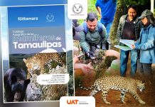 DIFUNDE LA UAT CATÁLOGO FOTOGRÁFICO DE LOS MAMÍFEROS DE TAMAULIPAS