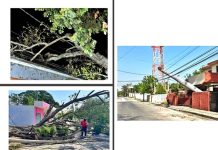 MANTIENEN PROTECCIÓN CIVIL Y SERVICIOS PÚBLICOS LABORES DE ATENCIÓN TRAS FRENTE FRÍO NO. 41