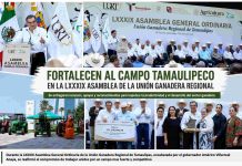 RESPALDA AMÉRICO AL SECTOR GANADERO CON MÁS DE 80.7 MDP EN APOYOS