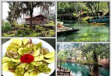 GÓMEZ FARÍAS, REFUGIO NATURAL EN TAMAULIPAS