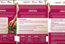 IMPULSAN TECNIFICACIÓN DEL CAMPO EN EL MANTE CON APOYOS DE HASTA EL 50% PARA RIEGO Y ENERGÍA SOLAR