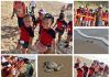 LIBERAN CRÍAS DE TORTUGA LORA NIÑAS Y NIÑOS DE GÜÉMEZ