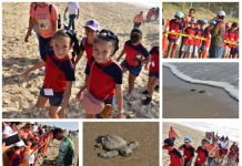 LIBERAN CRÍAS DE TORTUGA LORA NIÑAS Y NIÑOS DE GÜÉMEZ