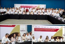 FORTALECEN TRABAJO PREVENTIVO CONTRA EL DENGUE EN ZONA SUR DE TAMAULIPAS