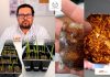 PATENTA LA UAT BIOPLÁSTICOS QUE RECUPERAN SUELOS EROSIONADOS
