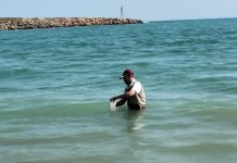 PLAYAS DE TAMAULIPAS, APTAS Y SEGURAS PARA RECIBIR A TURISTAS EN EL VERANO 2026