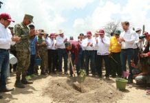 TAMAULIPAS PARTICIPA EN JORNADA NACIONAL DE REFORESTACIÓN; SE PLANTARÁN 15 MIL ÁRBOLES: AMÉRICO