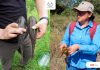 ESTUDIANTE DE LA UAT OBTIENE TERCER LUGAR NACIONAL POR VIDEO CIENTÍFICO SOBRE EL PEZ DIABLO