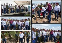 SE SUMA UAT A LA JORNADA NACIONAL DE REFORESTACIÓN 2026 EN TAMAULIPAS