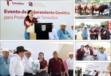 IMPULSA PATTY CHÍO EL DESARROLLO PECUARIO DE EL MANTE