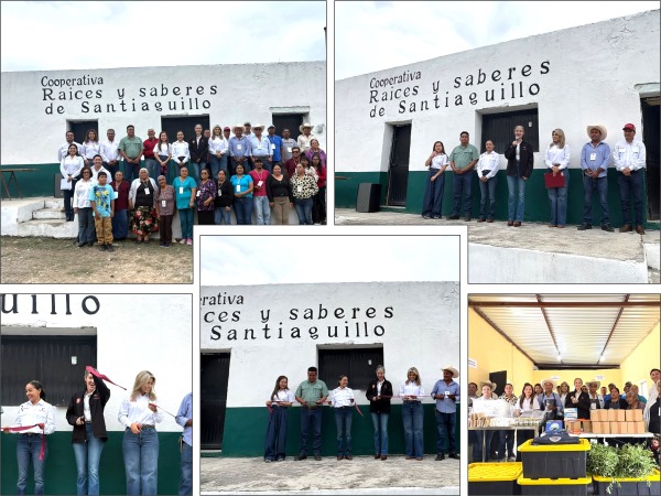 gobierno 20oct
