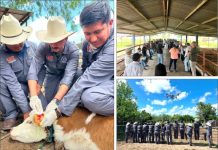 REFUERZA LA UAT BRIGADAS DE CONTENCIÓN FRENTE AL GUSANO BARRENADOR EN TAMAULIPAS