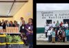 La UAT consolida proyecto de aprovechamiento del laurel para el emprendimiento rural